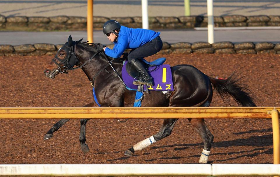 　栗東ＣＷで追い切るエムズ