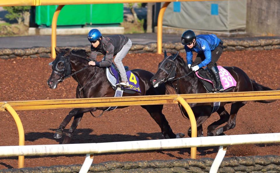 　北村友を背に軽快な動きを見せたクロワデュノール（左）＝撮影・石湯恒介