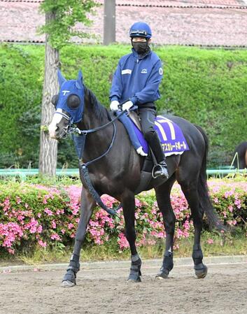 　ダービーに向け調整されるマスカレードボール（撮影・持木克友）