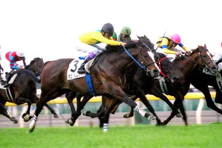 　ダービーでＶを決めたタニノギムレットとダービー３勝目の武豊＝２００２年５月２６日　