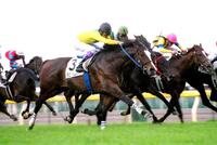 　ダービーでＶを決めたタニノギムレットとダービー３勝目の武豊＝２００２年５月２６日　