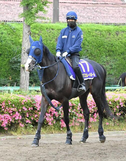 日本ダービー】マスカレードボール 発動瞬発力 外めの奇数枠に岡田助手