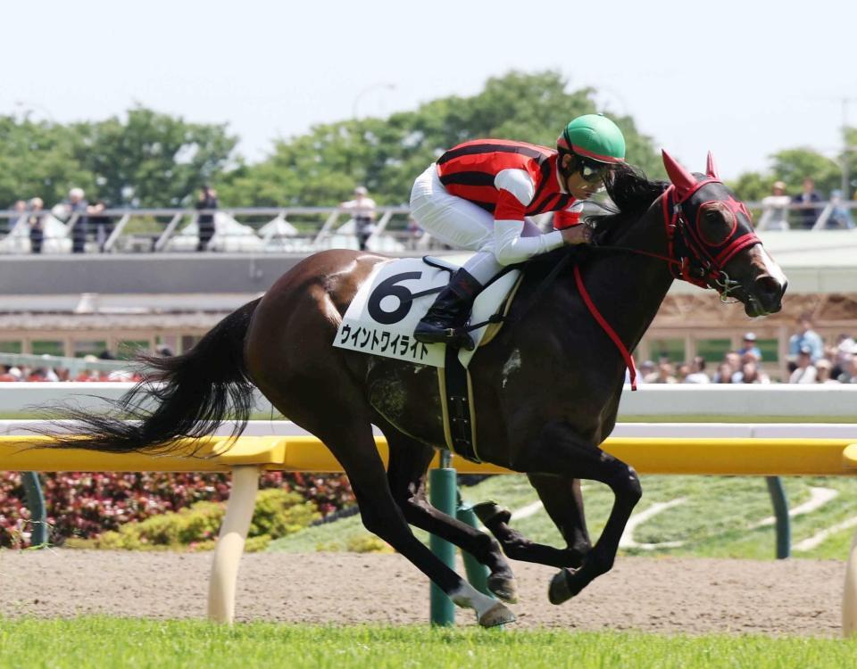 　ウイントワイライト