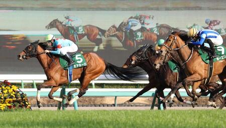 【POG】モノポリオは個人的に気になっています(美浦発)