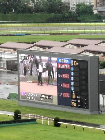 　東京競馬の発走時刻の変更を伝えるターフビジョン