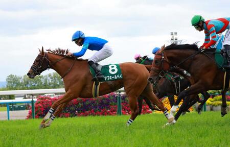 　葵Ｓを制したアブキールベイ（撮影・石湯恒介）