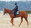 【日本ダービー】馬場状態から浮上するのはこの馬だ