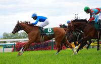 　葵Ｓを制したアブキールベイ（撮影・石湯恒介）