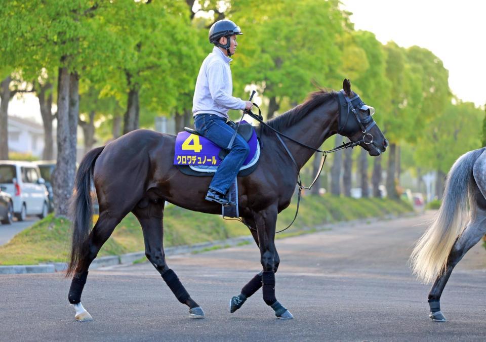 　クロワデュノール