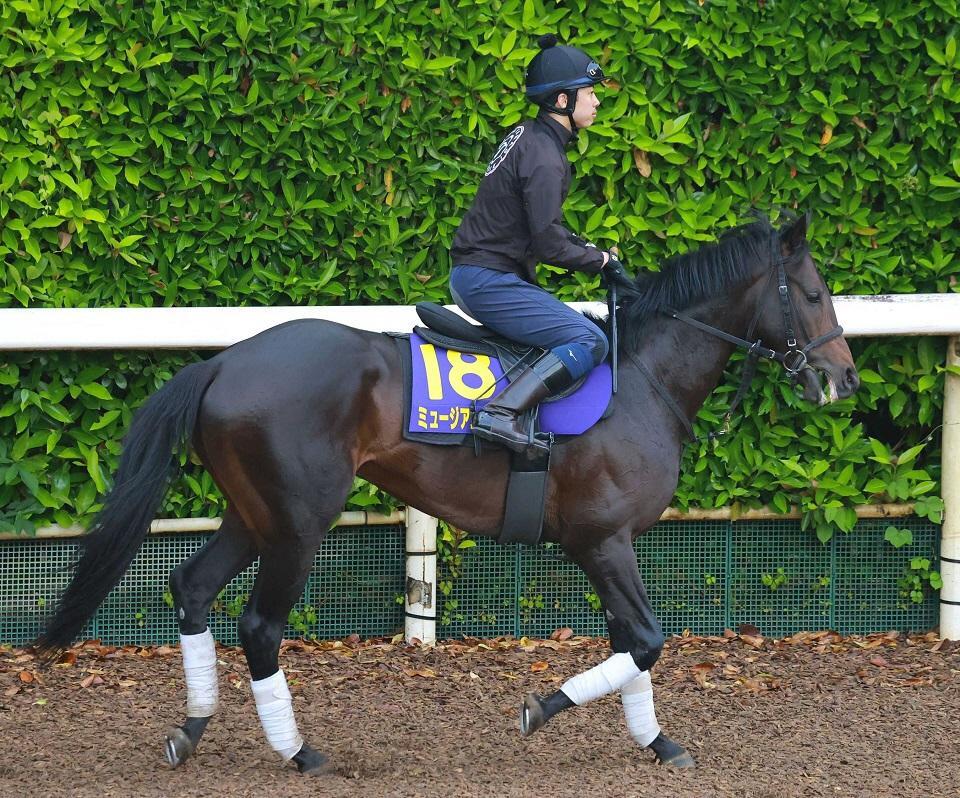 　ミュージアムマイル