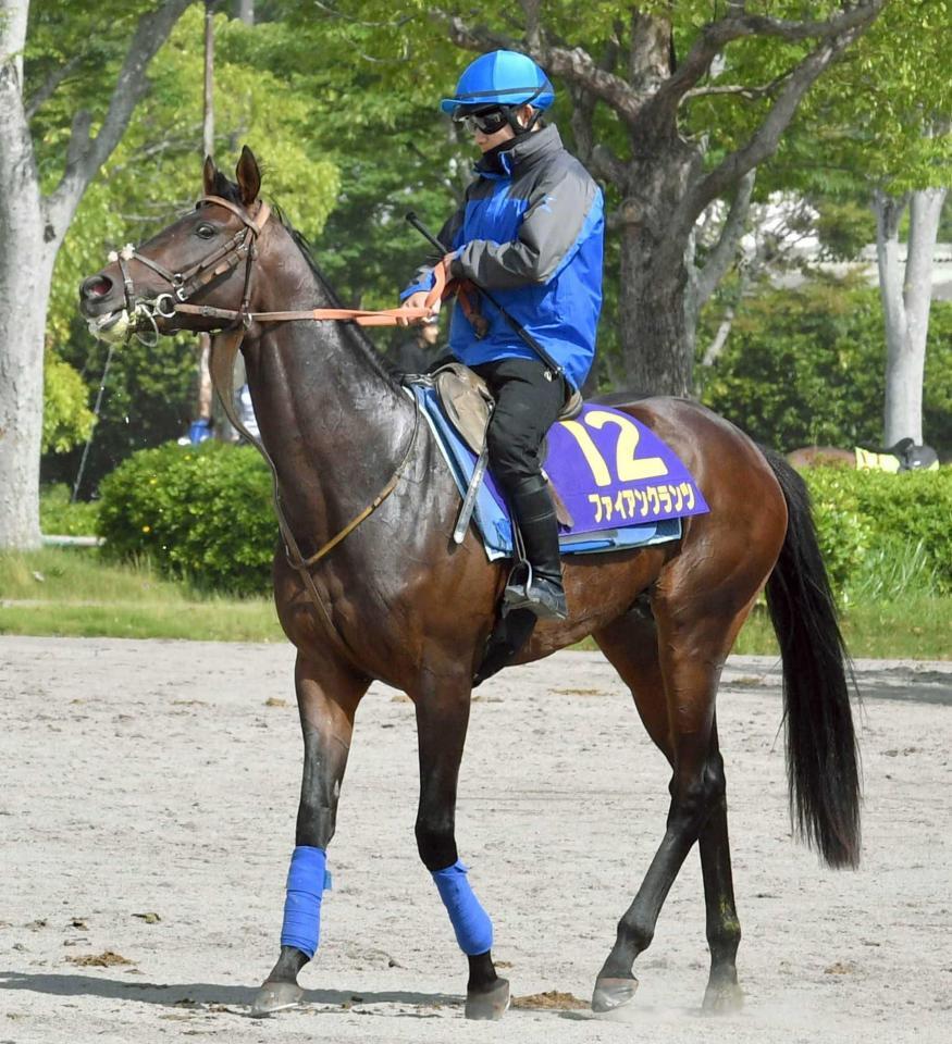 　ファイアンクランツとのコンビで初のダービーに挑む佐々木