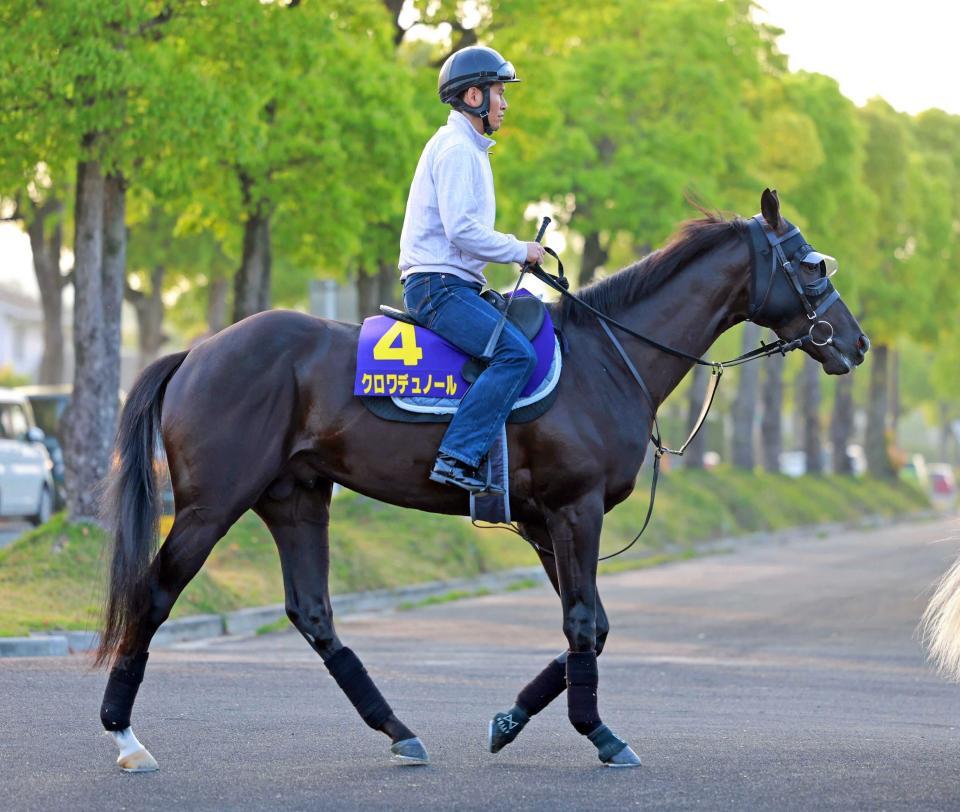 　クロワデュノール