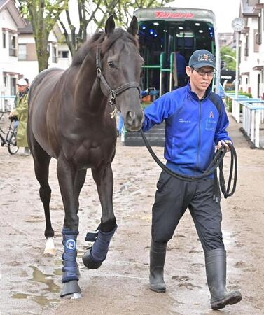【日本ダービー】クロワデュノール 東京変わりもプラス 間宮助手「イレ込んだりもなく、いつも通り」