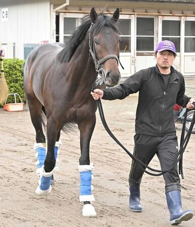 　東京競馬場に到着したミュージアムマイルと嘉堂助手