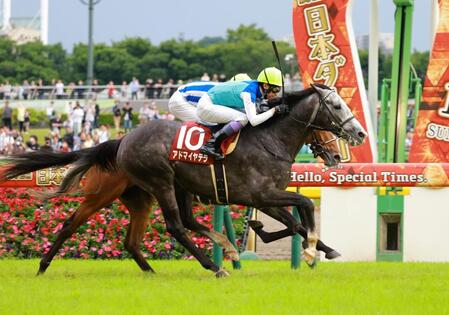【目黒記念】競走中止の白毛馬ハヤヤッコ 「ひとまず命の心配はありません」所属厩舎助手がXで報告 診断は右前浅屈腱不全断裂