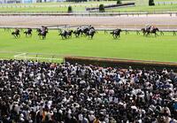 　多くのファンが詰めかけた東京競馬場（撮影・園田高夫）