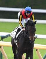 　６着のミュージアムマイルとレーン（撮影・園田高夫）