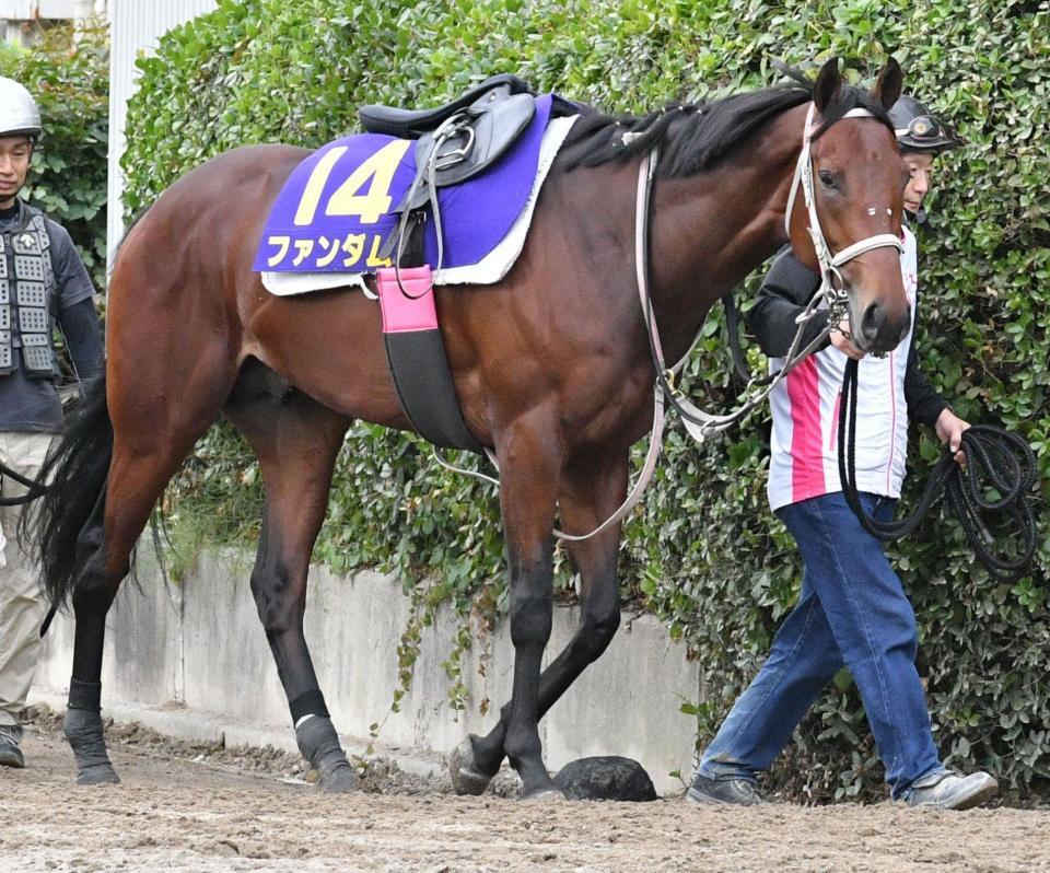 　レースに向け調整されるファンダム＝２７日