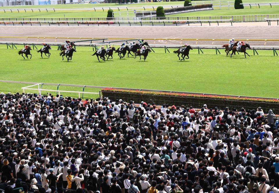　多くのファンが詰めかけた東京競馬場（撮影・園田高夫）