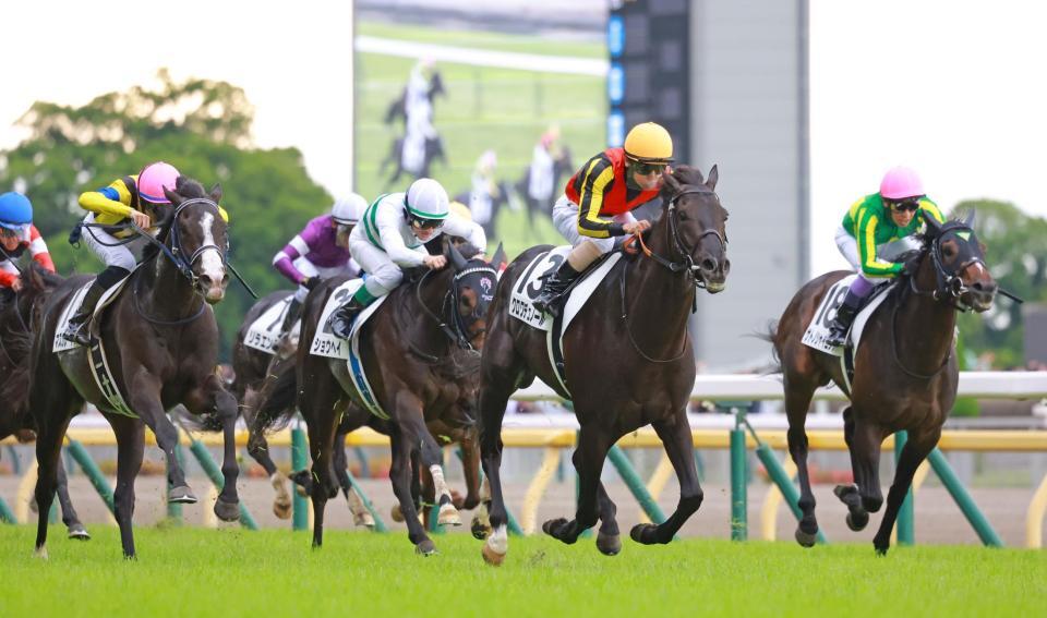 　横綱相撲で押し切るクロワデュノール（右から２頭目）＝撮影・石湯恒介