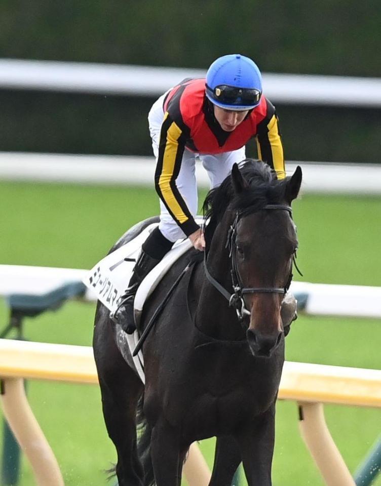 　６着のミュージアムマイルとレーン（撮影・園田高夫）