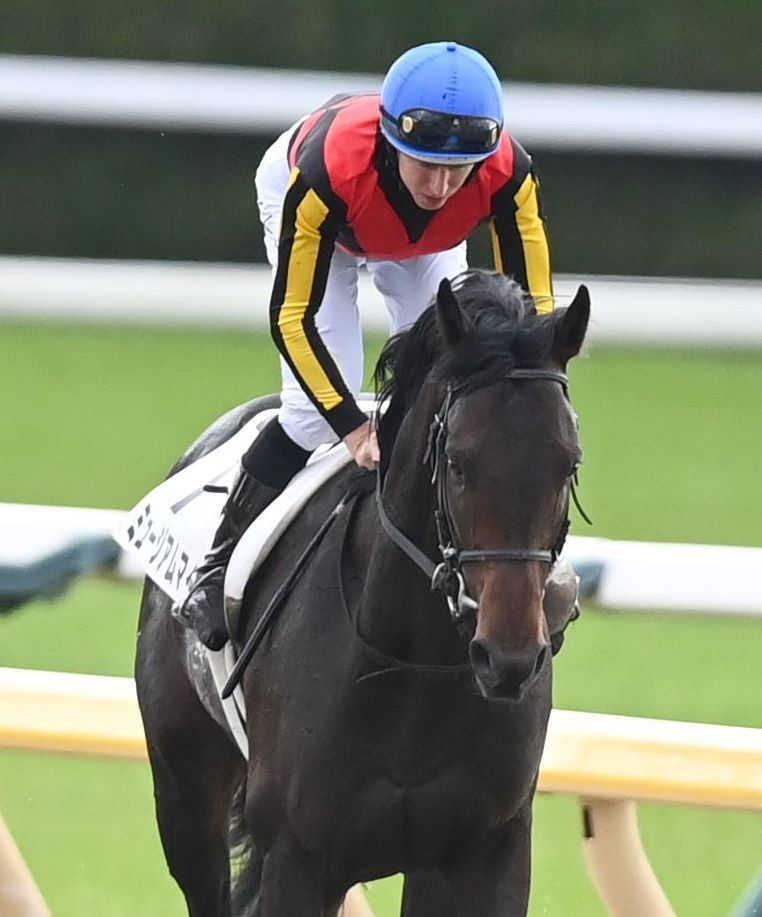 ミュージアムマイル 日本ダービー セット 日本ダービー】皐月賞馬ミュージアムマイルは6着 レーン