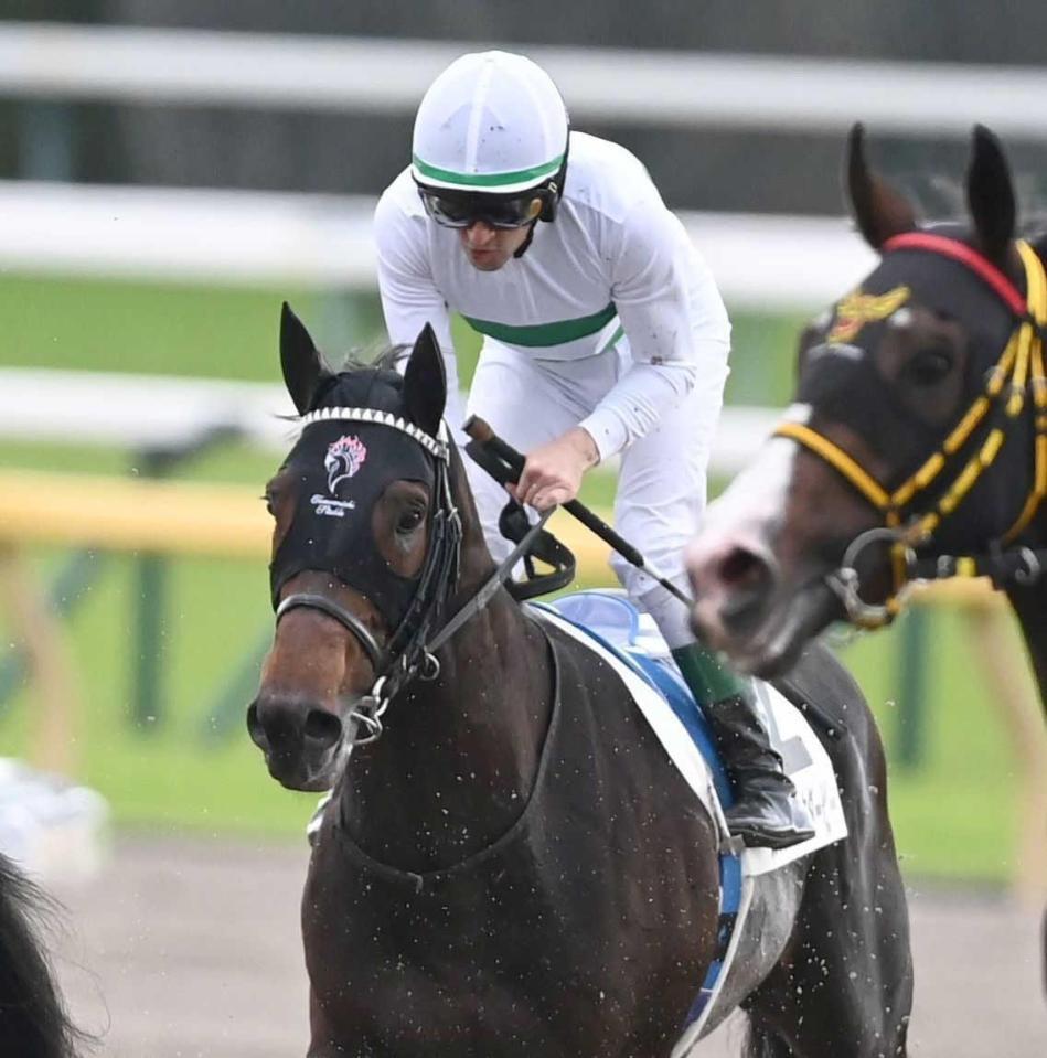 応援馬券（ショウヘイ、日本ダービー） 日本ダービー GⅠ調教チェッカーズ】まさに昇竜の勢い！ ショウヘイ