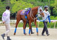 　“待兼”の血を受け継ぐウォーターリヒト