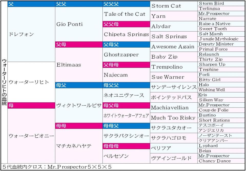 　ウォーターリヒト５代血統表
