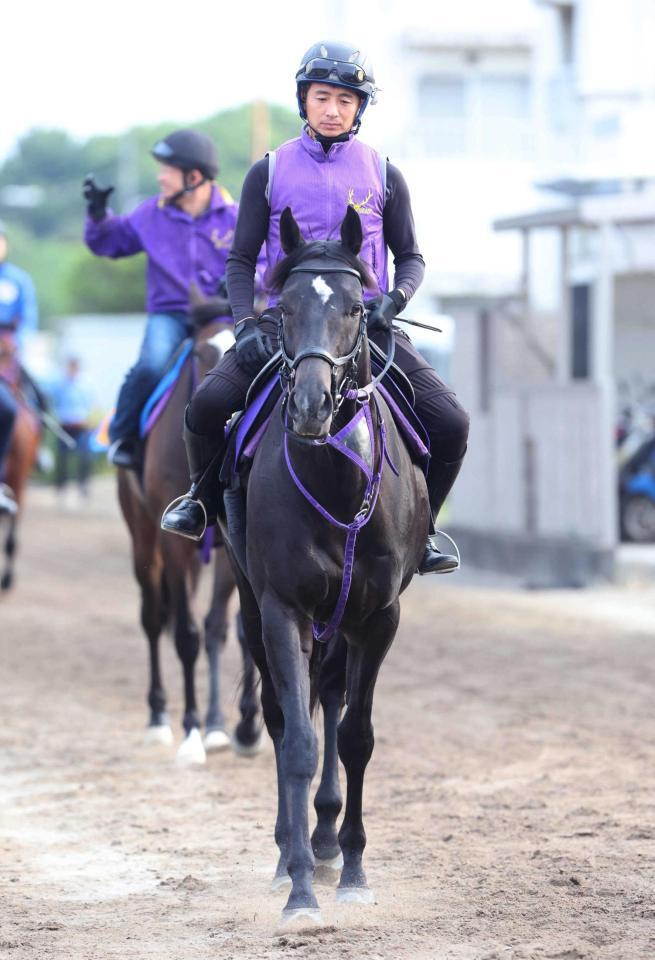 　データ班が推すトロヴァトーレ