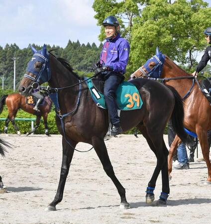 【新馬戦】アウダーシア　幼さはあれど良血の素質評価　手塚久師「軽い走りをしますよ」