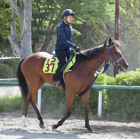 【新馬戦】ディアダイヤモンド　３週続け併せ馬を行い軽快な動き披露　手塚久師「追い切りをやればやるだけ動く馬」