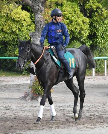 【新馬戦】ゾロアストロ　手応え十分　ルメールも笑顔「すごくいい」