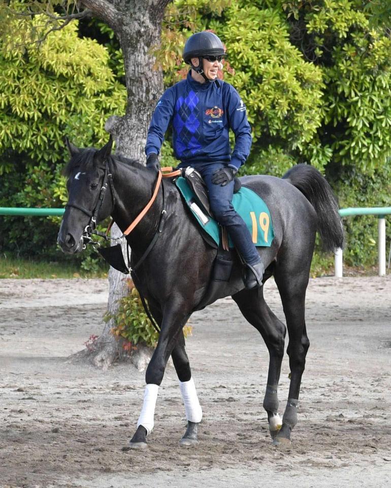 　デビュー戦Ｖが期待されるゾロアストロ