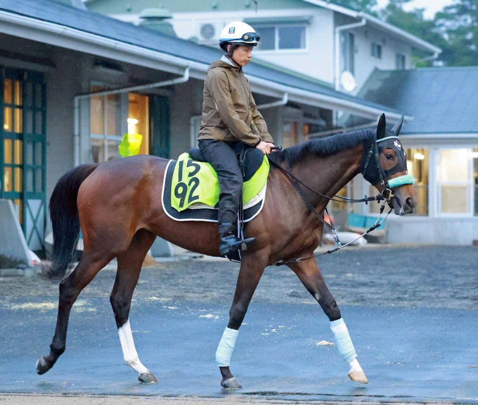 　新馬戦一番星を目指すアンディムジーク