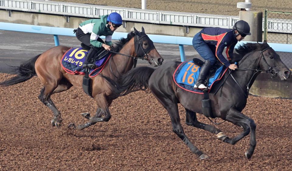 　今年初戦に向けて併せ馬を行うレガレイラ（左）