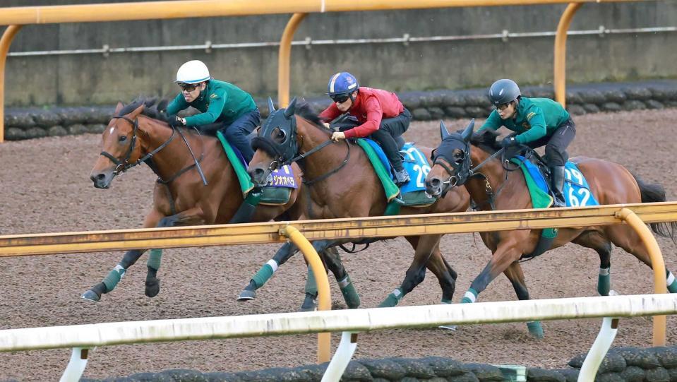 　栗東ＣＷの３頭併せで好気配を示したベラジオオペラ（左）＝撮影・石湯恒介
