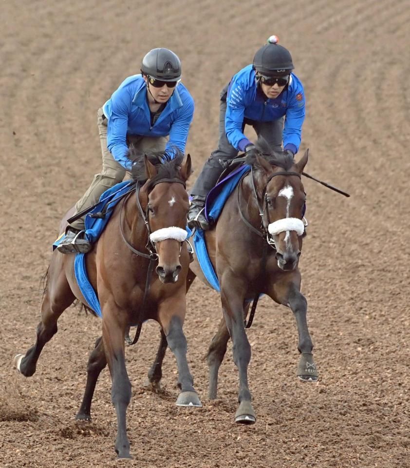 　併せ馬で好調を示したシックスペンス（右）