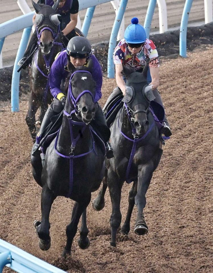 　美浦Ｗの併せ馬で充実ぶりをアピールしたトロヴァトーレ（右）＝撮影・持木克友