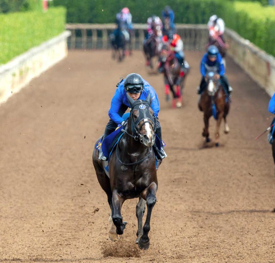 ソウルラッシュ デムーロ　世界限定 ホースレーシングカード 競馬　ドバイターフ ドバイターフ】ソウルラッシュ世紀の大金星 香港最強馬を0