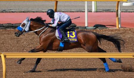 【宝塚記念】メイショウタバル　猛時計！ラスト１Ｆ１０秒７　石橋師「折り合いがついてきた」成長を実感