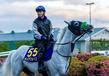 【安田記念】吉村　ガイアフォースで歴史刻む「いい馬だなと」武豊超え最年少Ｇ１ジョッキーへ手応え