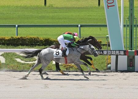 　東京１Ｒを勝ったジオフロント（奥）＝撮影・持木克友