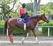 【安田記念】馬場状態から浮上するのはこの馬だ