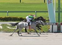 　東京１Ｒを勝ったジオフロント（奥）＝撮影・持木克友