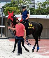 　主戦・矢野貴を背に万全の反撃態勢を整えたナイトオブファイア（撮影・村上英明）