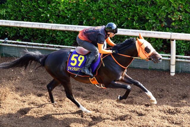 阪神＆東京の危険な人気馬】ジャンタルマンタル 東京11R