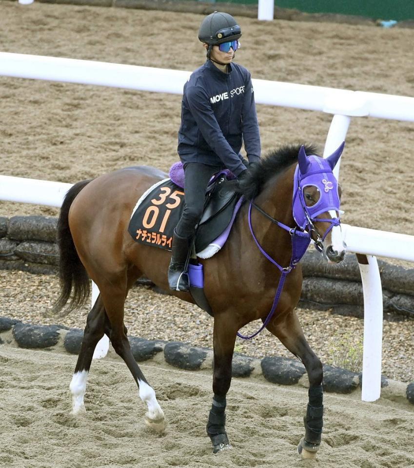 　ナチュラルライズ