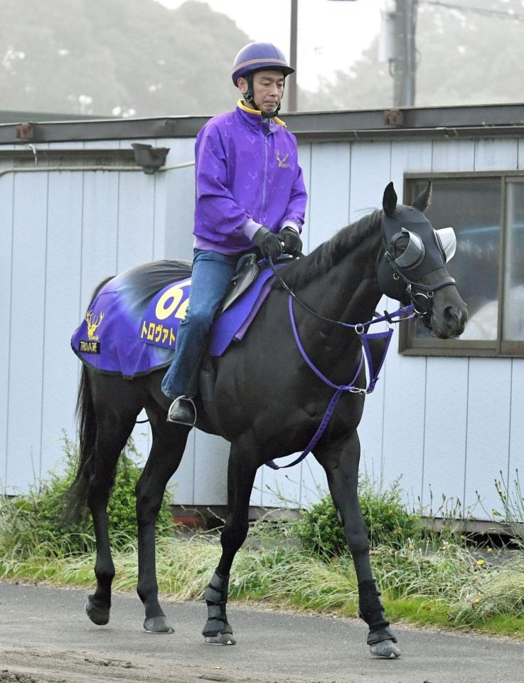 　レースに向け調整されるトロヴァトーレ