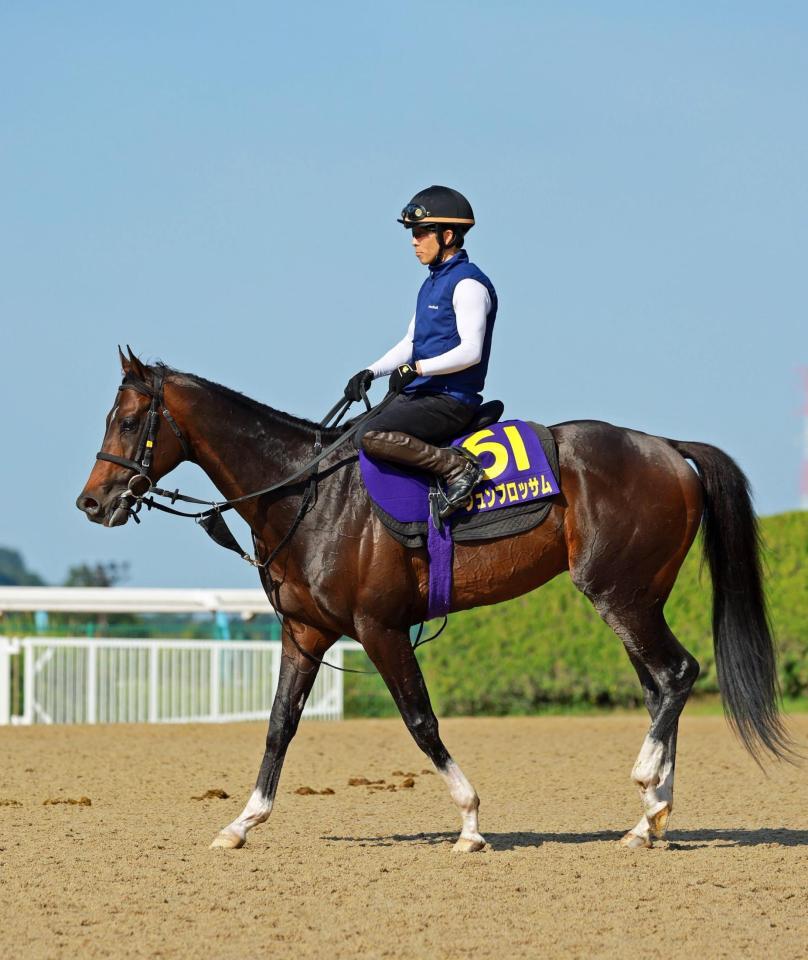 　ジュンブロッサム